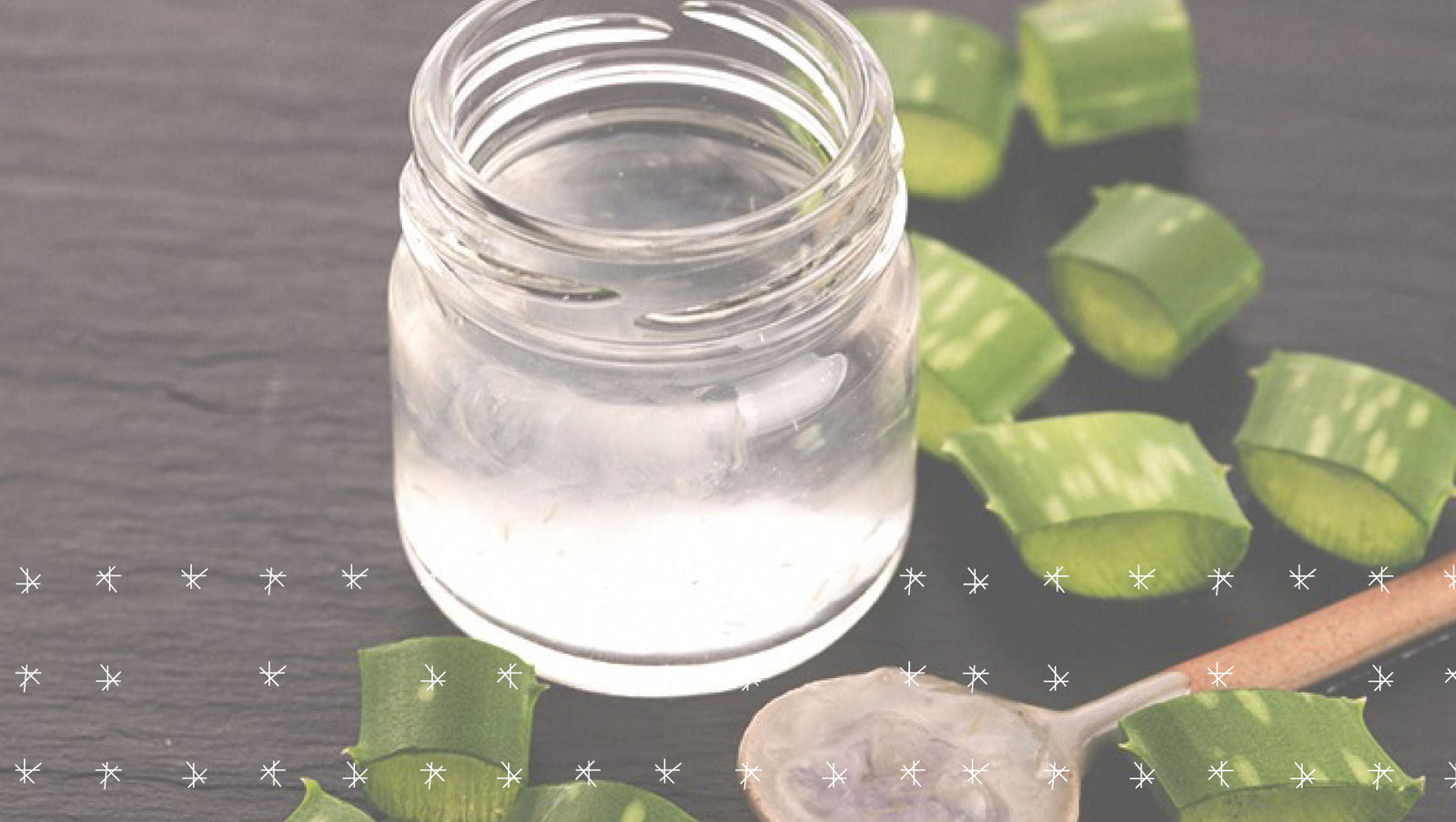 Aloe vera: 13 beneficios que debes conocer